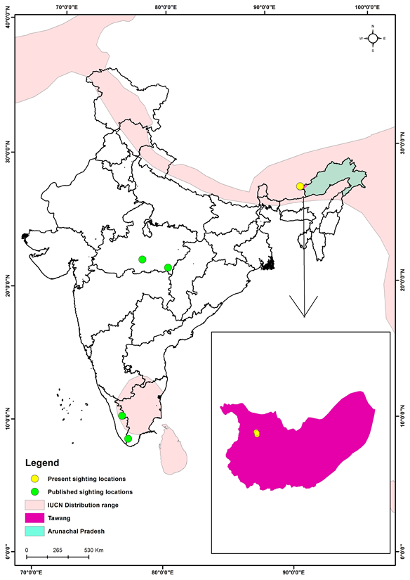 Maps. Map of India showing the IUCN generalized range of the Eurasian otter in southern India and Sri Lanka, and the Himalalyan region.  Four green dots, two in southern India and two in central India show the sightings published in Jena et al, 2016 and Joshi et al 2016.  The position of the state of Arunachal Pradesh is shown in the extreme north east of India, with Tawang in the extreme west of the state. .  An inset map shows Tawang, with the sightings reported in this paper in the north east. 