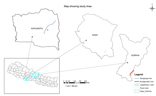 Inset map shows Nepal and its constituent districts. Above are larger versions of three of the districts - Kapilbastu, in the centre south of the country, Kaski in the centre and Gorkha in the centre north.   The Banganga River is in Kapilbastu, running from north east toward the centre of the district, with the survey site near its southern end.  In Kaski, Rupa Lake is shown in the south of the district.   In Gorkha, the Budigandaki River runs along its south east edge.