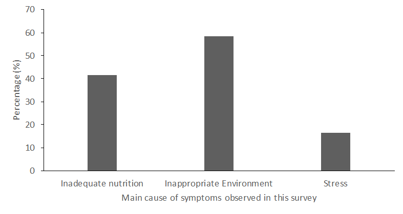 Bar chart showing the main class of causes of disease was inappropriate environment (60%), inadequate nutrition (40%) and stress (20%).