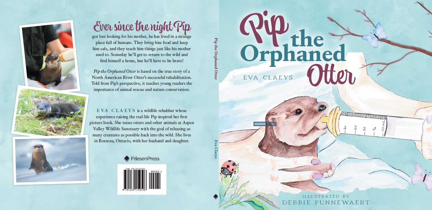 Front and back covers of Pip, the Orphaned Otter