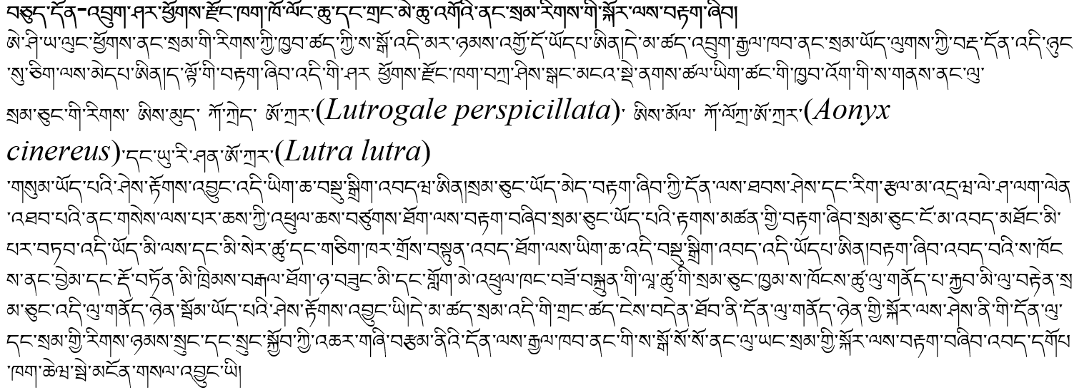 Resume in Dzongkha