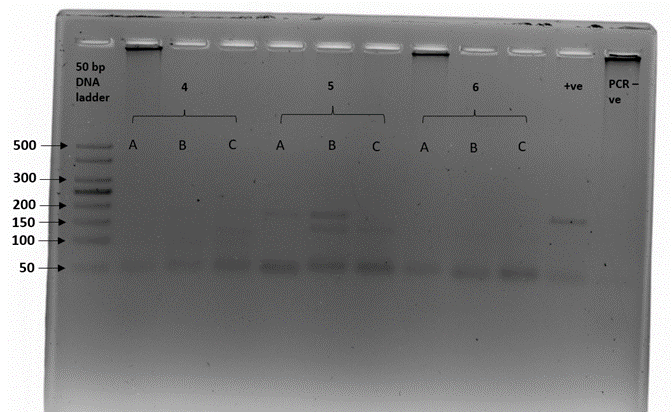 Gel electrophoresis plate described in caption 